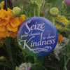 Seize Your chance – Kindness Button