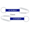 World Citizen Lanyard keychain