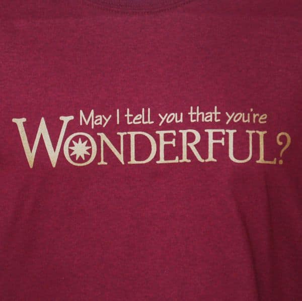 You’re Wonderful T-Shirt